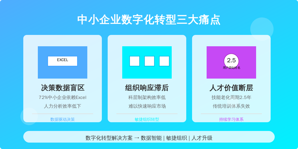 ['决策数据盲区', '组织响应滞后', '人才价值断层']