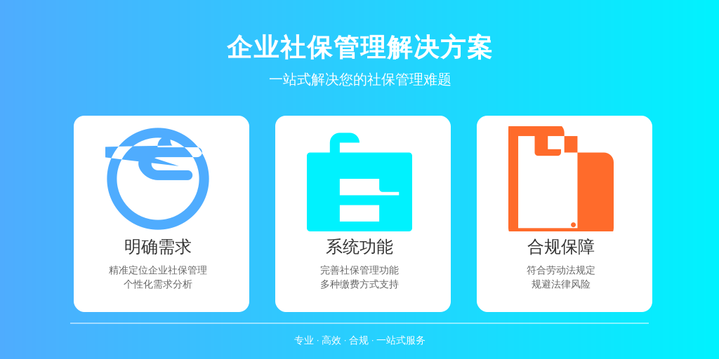 ['明确需求', '评估系统功能', '关注合规性']