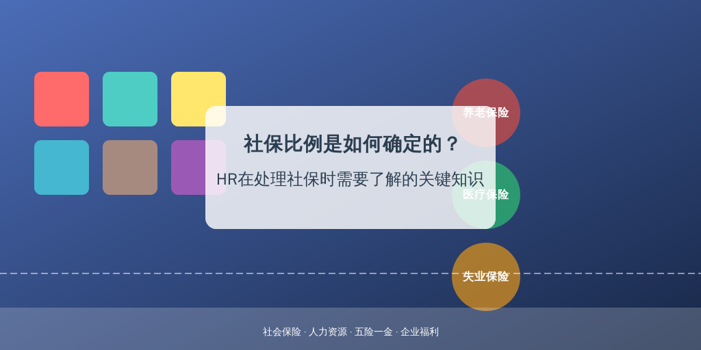 社保比例是如何确定的？HR在处理社保时需要了解的关键知识