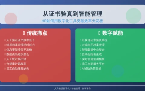 从证书验真到智能管理：HR如何用数字化工具突破效率天花板