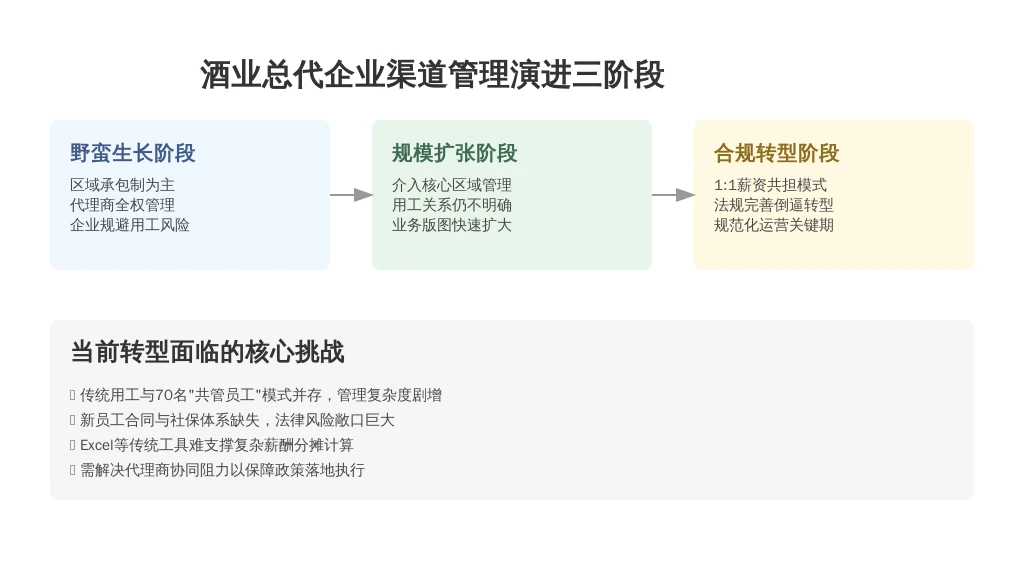 历史发展与现状挑战