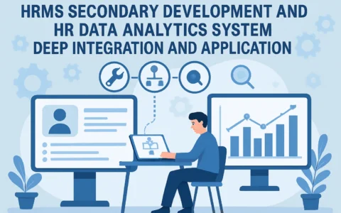 HR系统与人事系统二次开发及人事数据分析系统的深度融合与应用