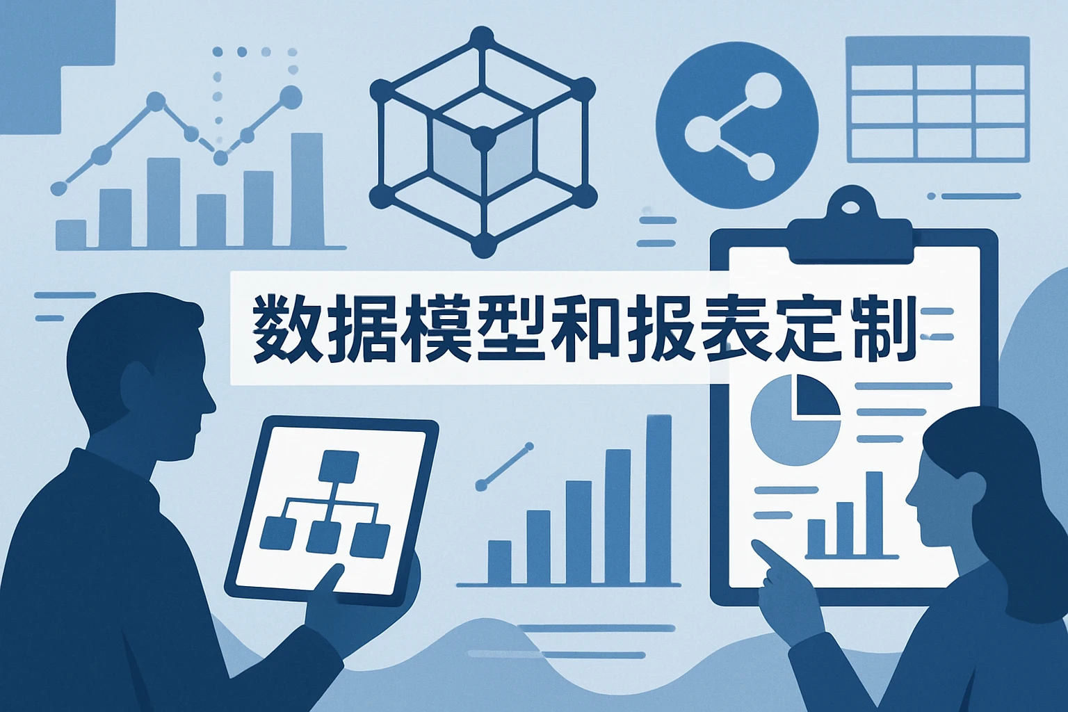 数据模型和报表定制