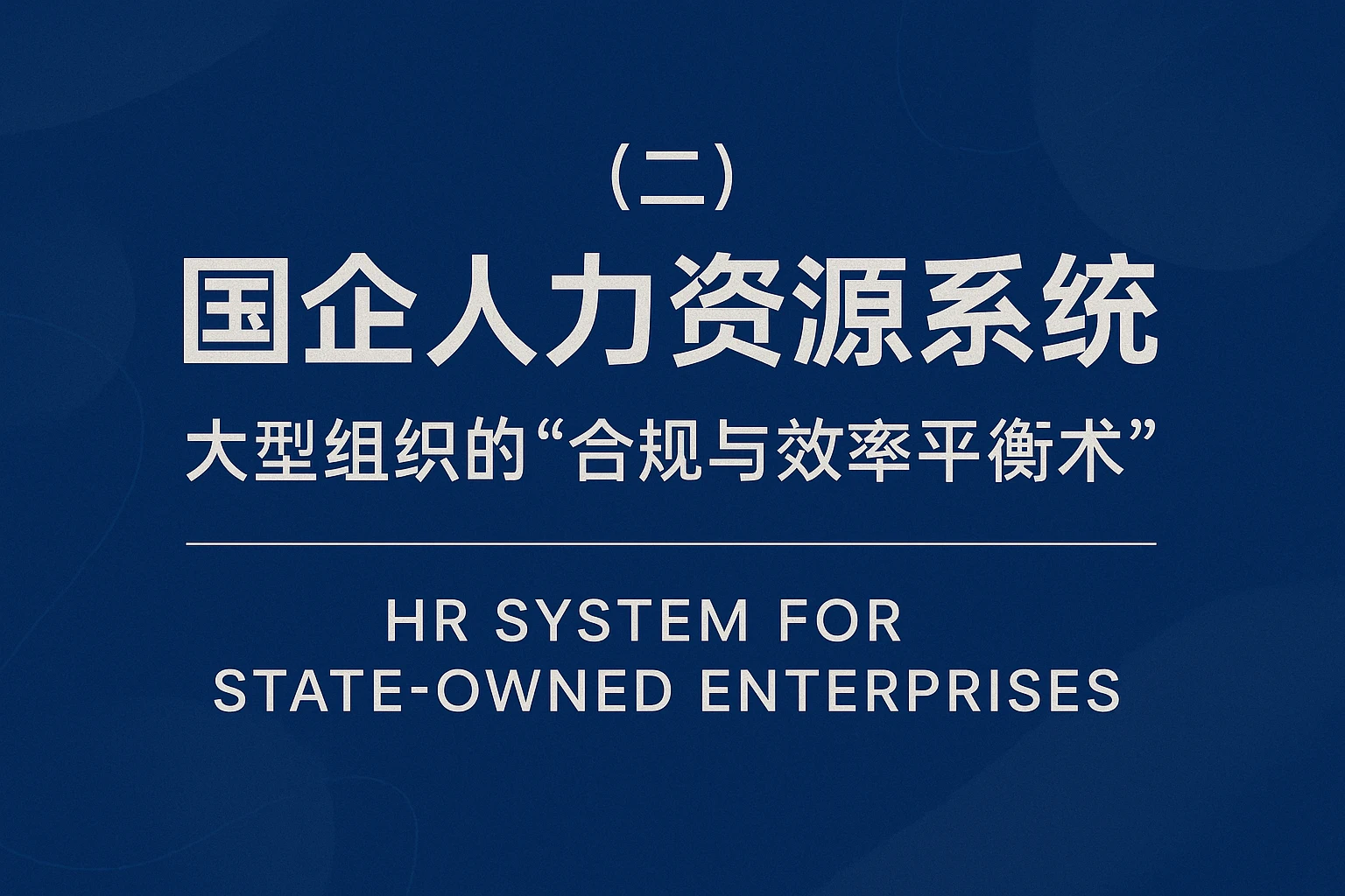 （二）国企人力资源系统：大型组织的“合规与效率平衡术”