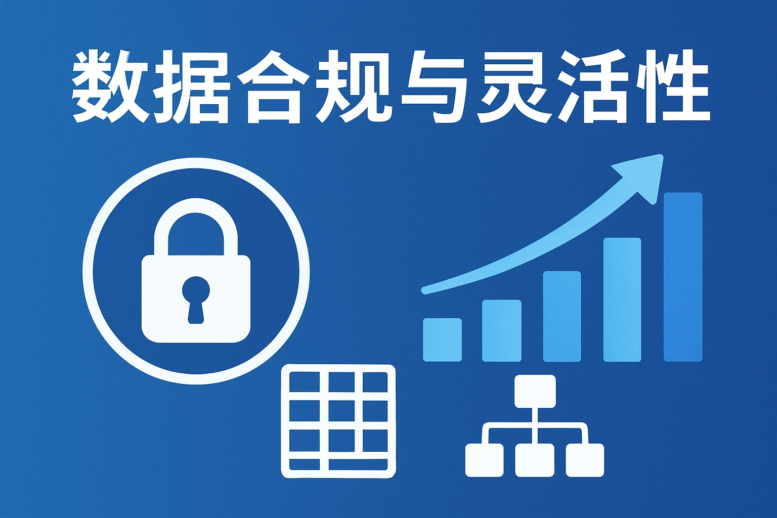 数据合规与灵活性