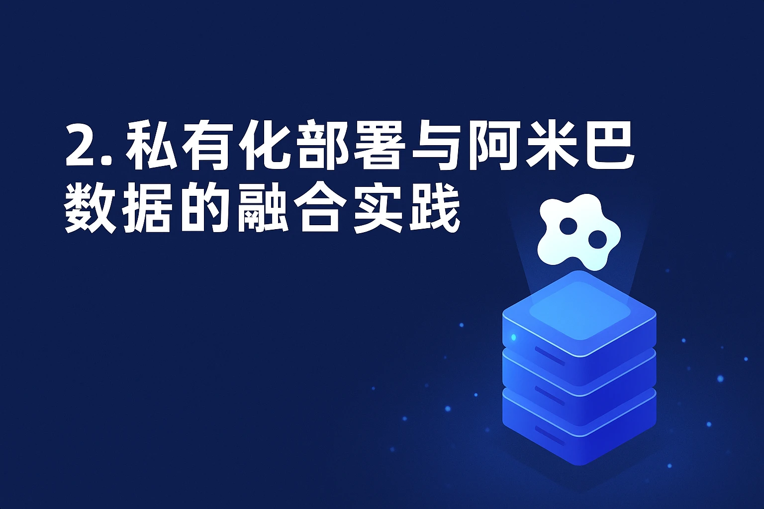 2. 私有化部署与阿米巴数据的融合实践
