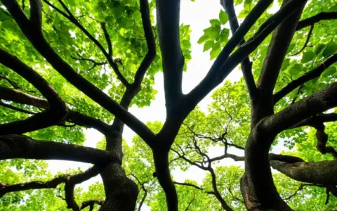 HR系统如何通过员工管理与自助功能重塑企业人事管理效率？