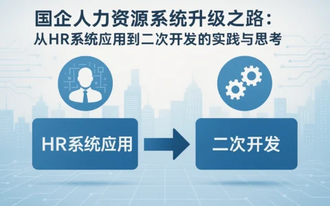 国企人力资源系统升级之路：从HR系统应用到二次开发的实践与思考