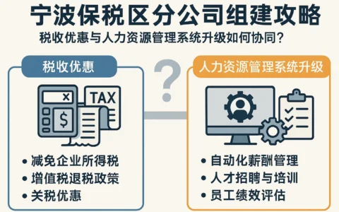宁波保税区分公司组建攻略：税收优惠与人力资源管理系统升级如何协同？