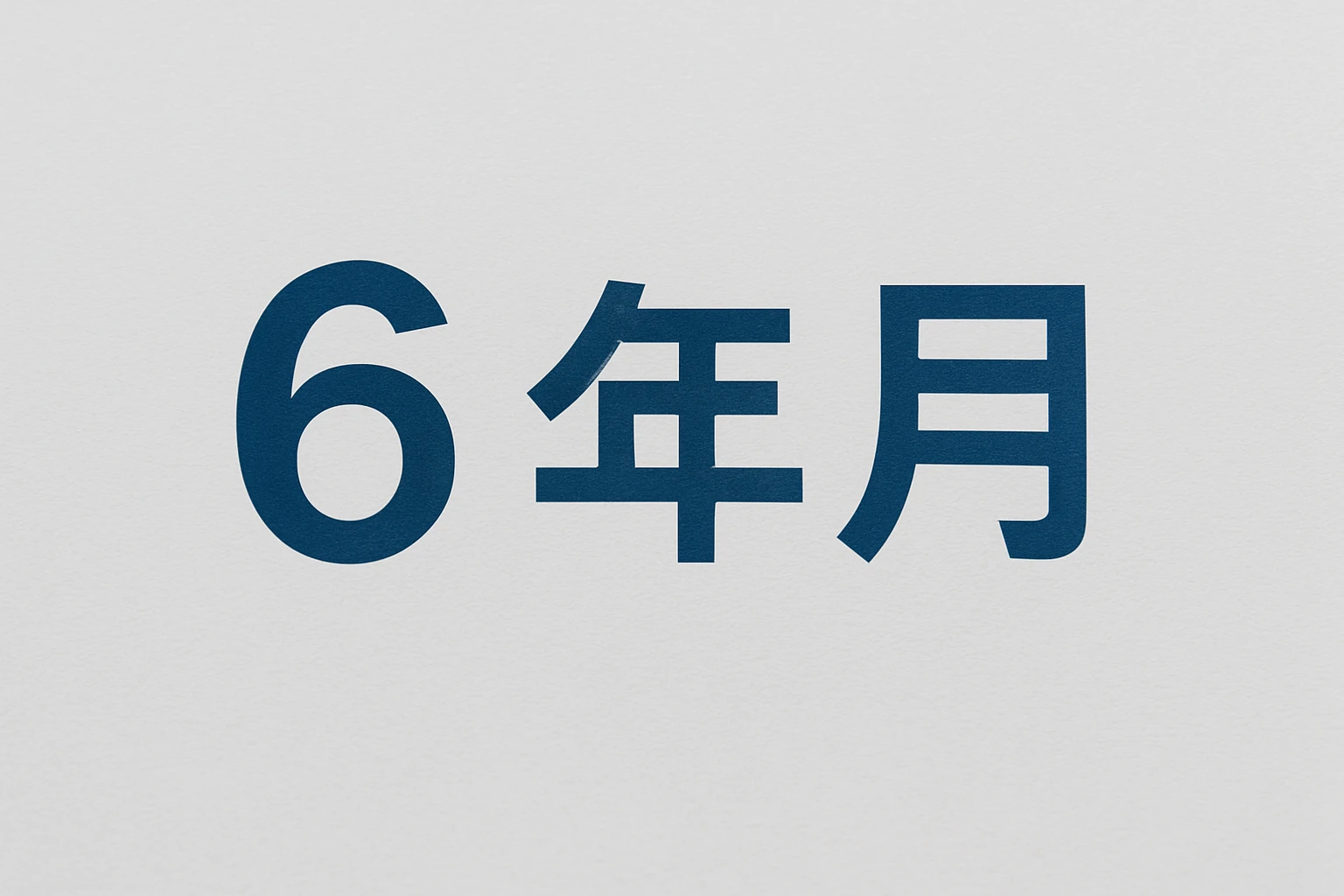 6个月