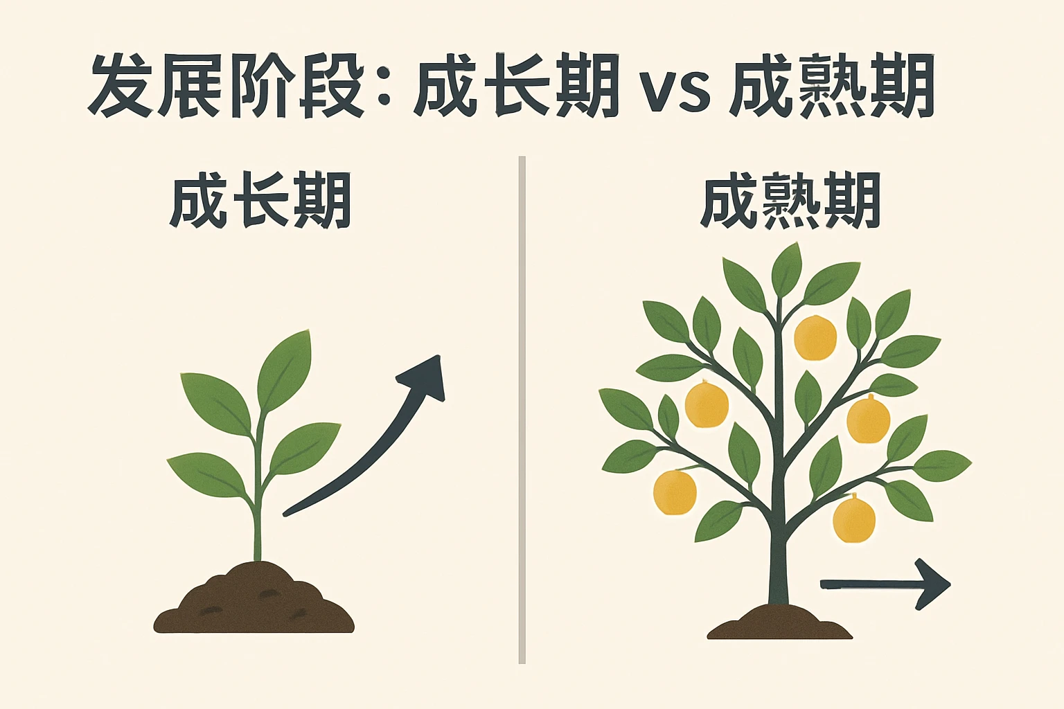 2. 发展阶段：成长期vs成熟期