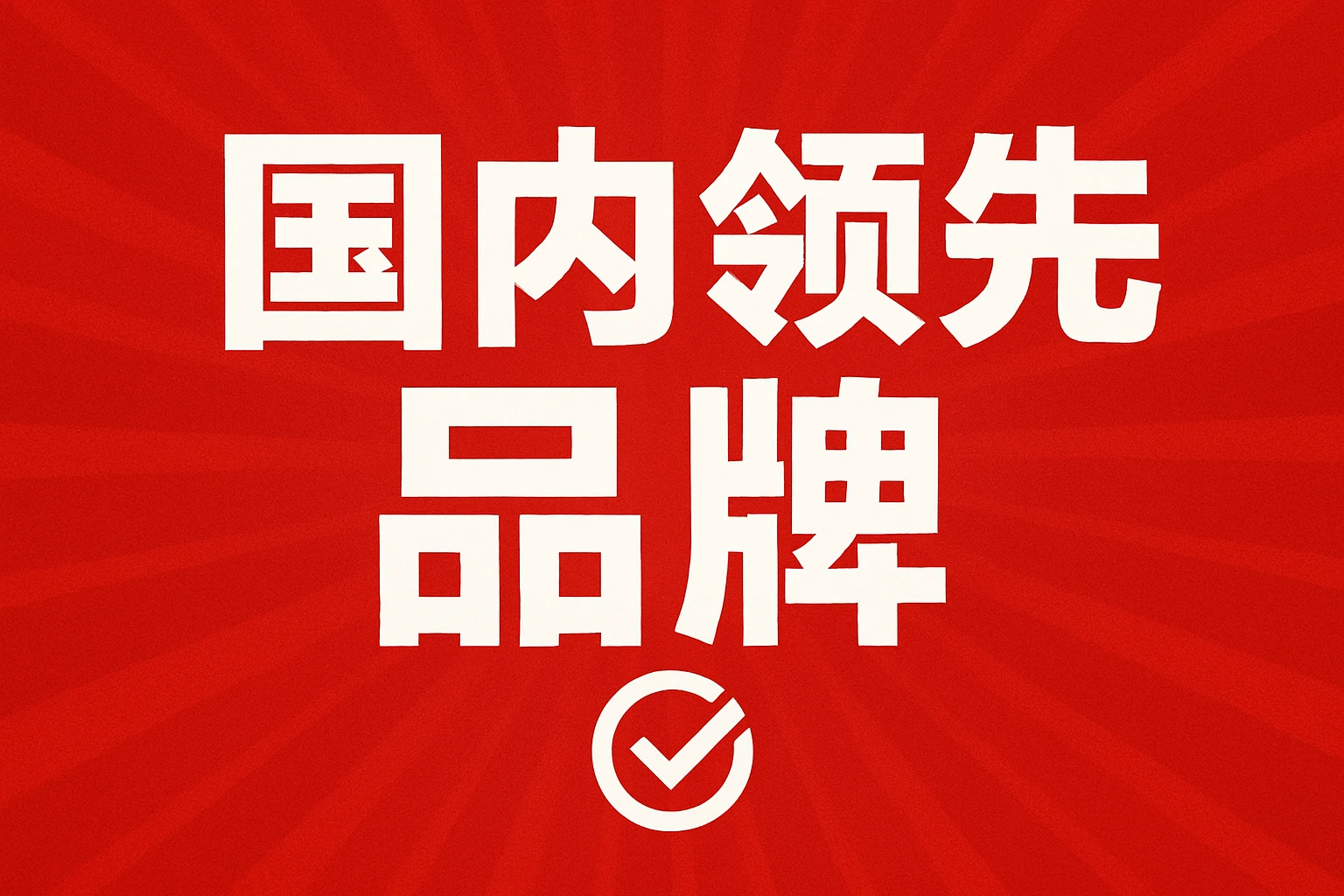 国内领先品牌