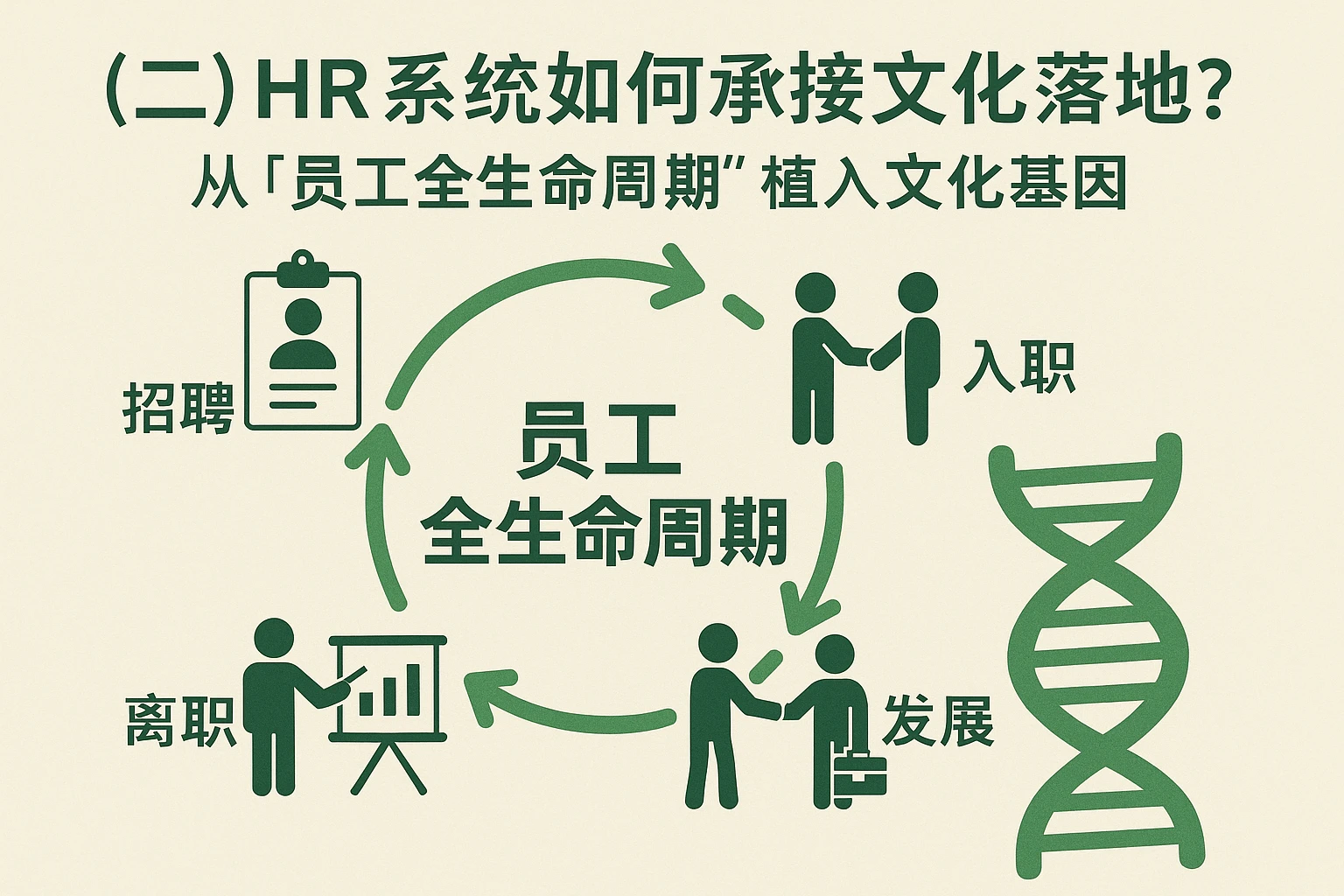 (二)HR系统如何承接文化落地?从“员工全生命周期”植入文化基因