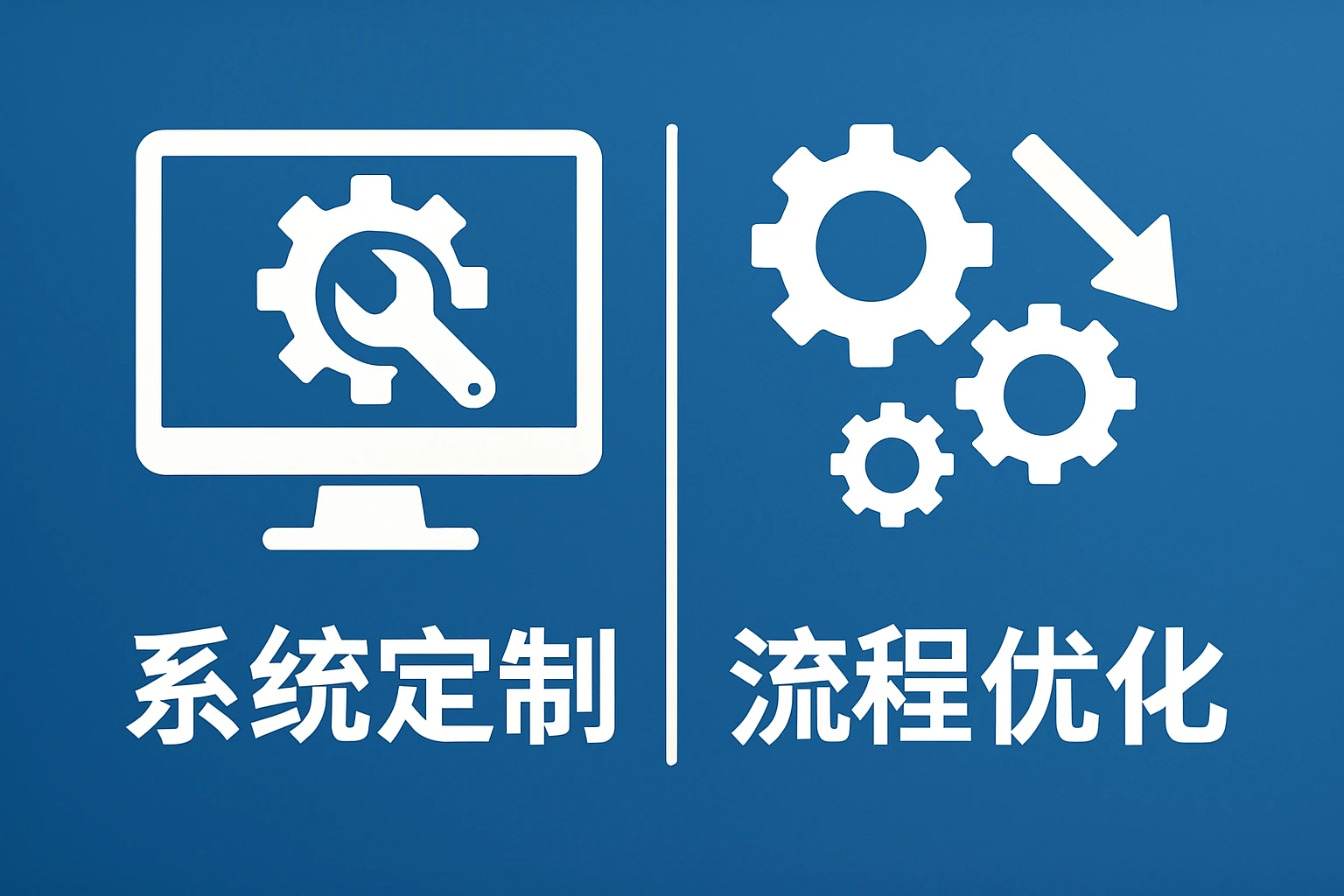系统定制与流程优化