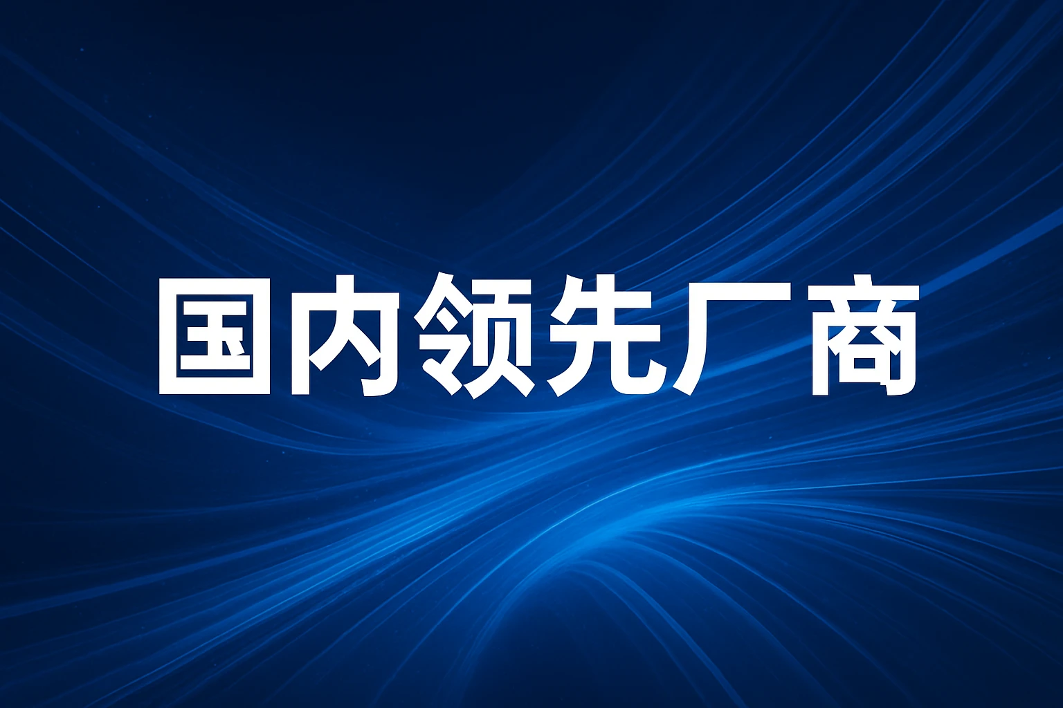 国内领先厂商