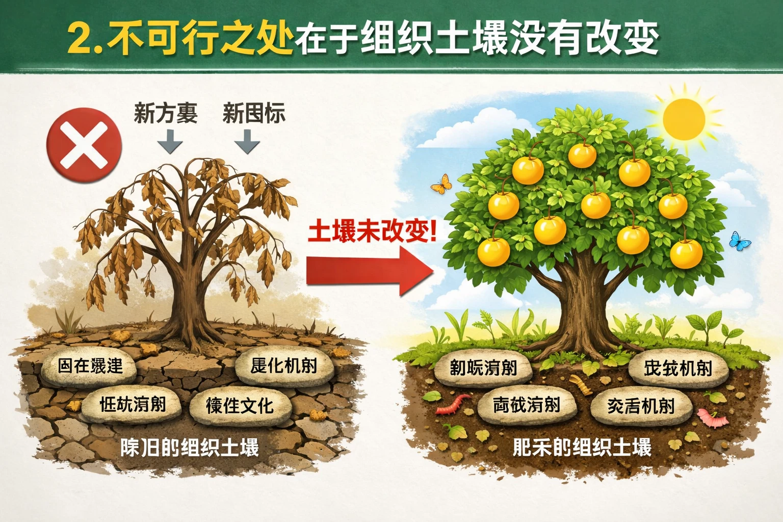 2. 不可行之处在于组织土壤没有改变